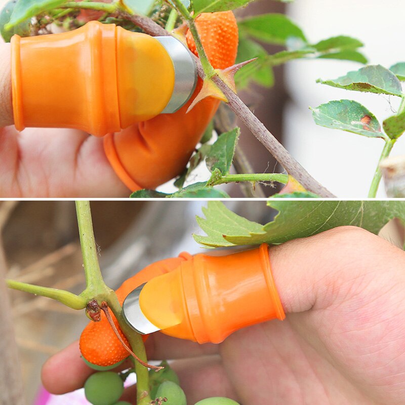 Thumb Cutter Gardening Tools