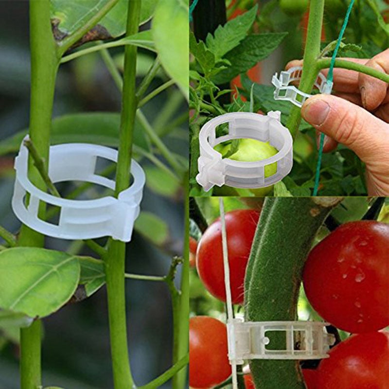 secured plastic plant clip 50/100pcs 30mm Plastic Plant Support Clips – TreasureHubby