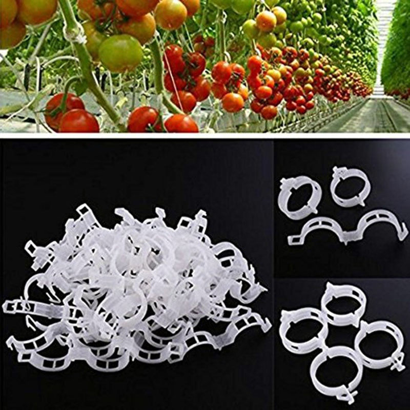 plastic clips for tomato plants 50/100pcs 30mm Plastic Plant Support Clips – TreasureHubby