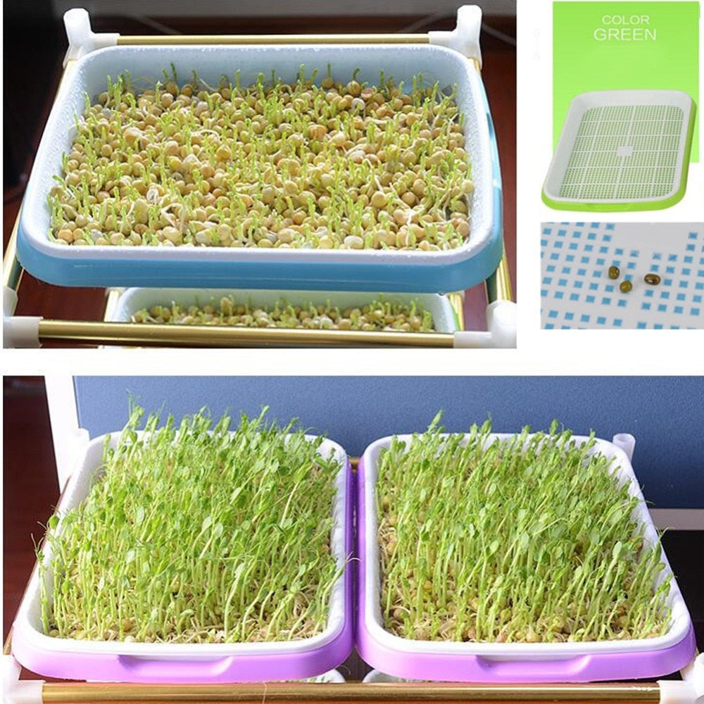 Double Layer Bean Sprouts Hydroponic Tray