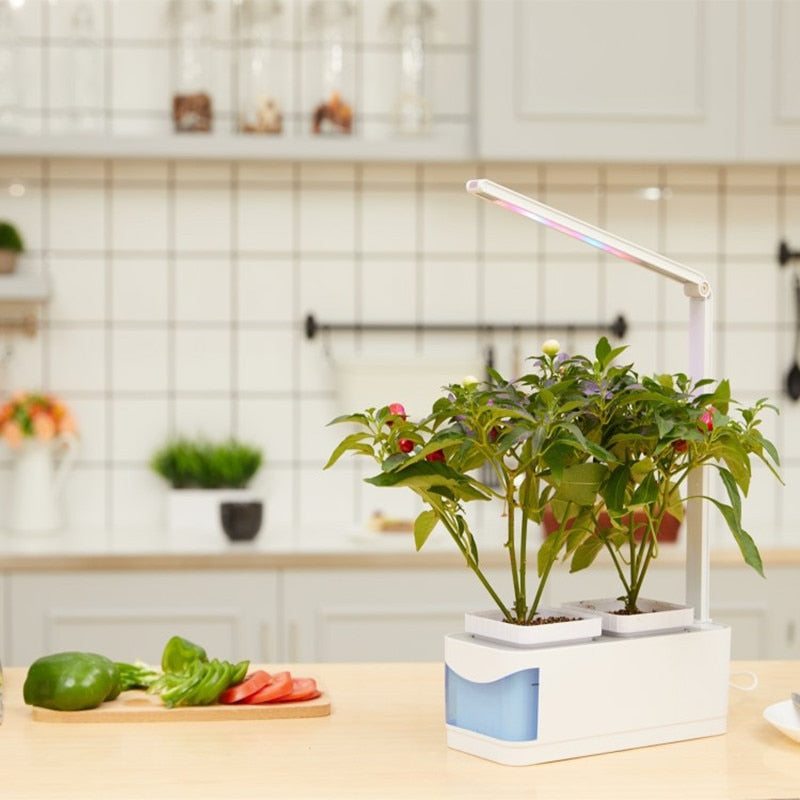 Indoor Herb Garden Kit