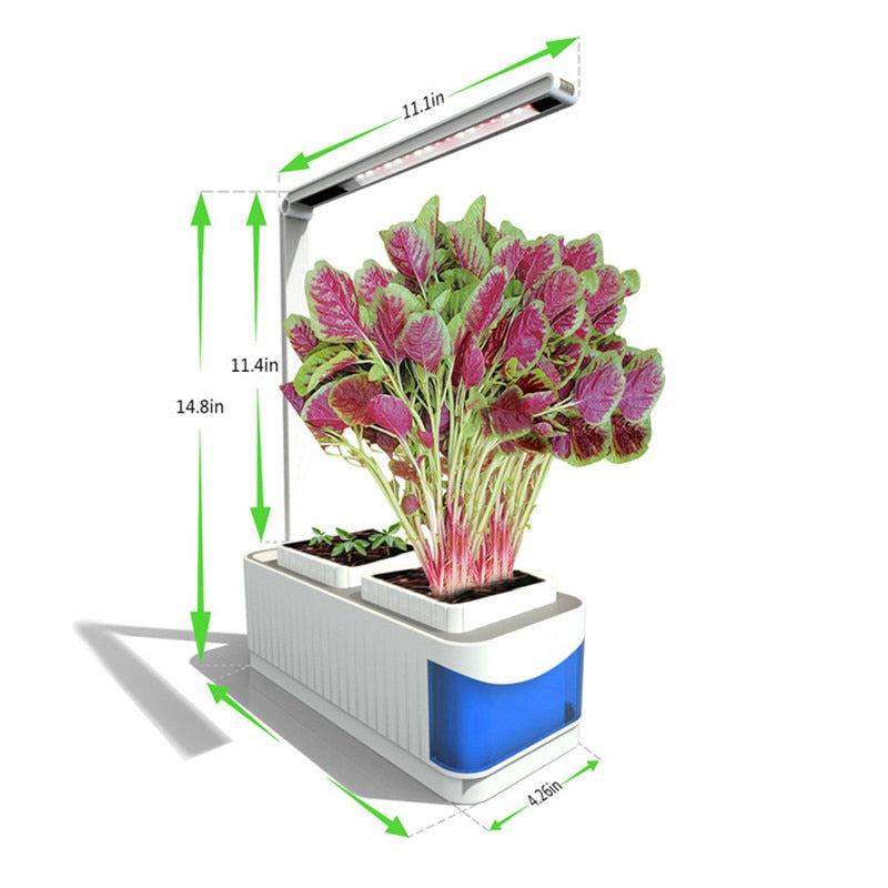 Indoor Herb Garden Kit