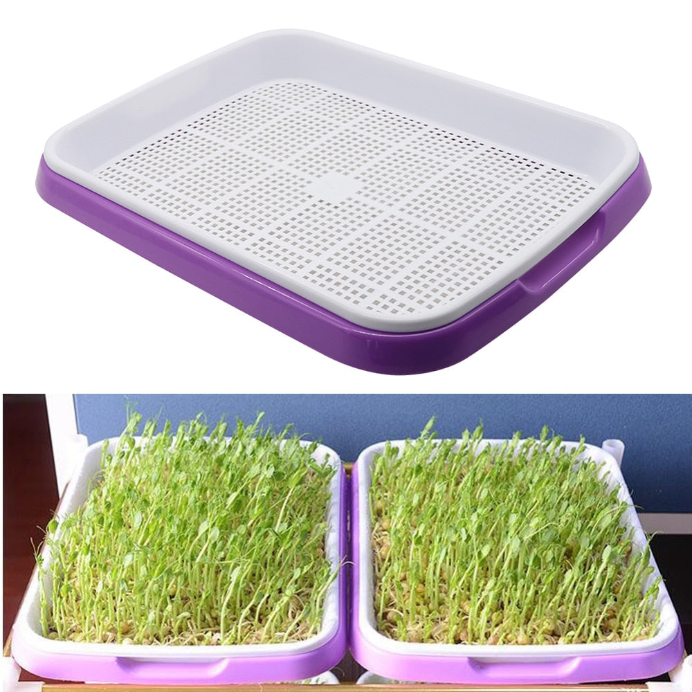 Double Layer Bean Sprouts Hydroponic Tray