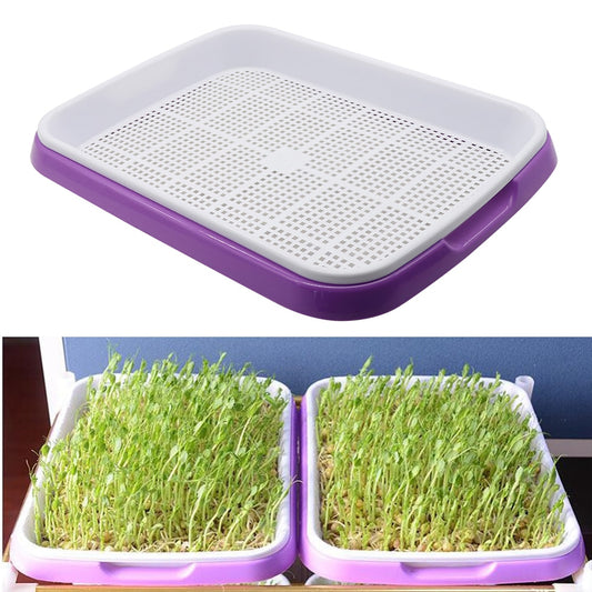 Double Layer Bean Sprouts Hydroponic Tray